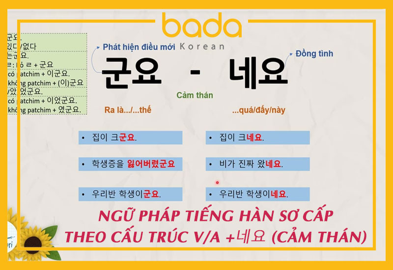 Ngữ pháp tiếng Hàn sơ cấp ở dạng V/A + 네요
